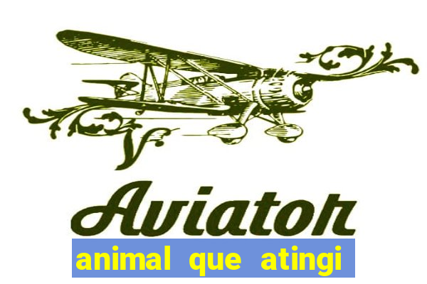 animal que atingi 230 decibeis